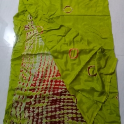 Lime Green Saree